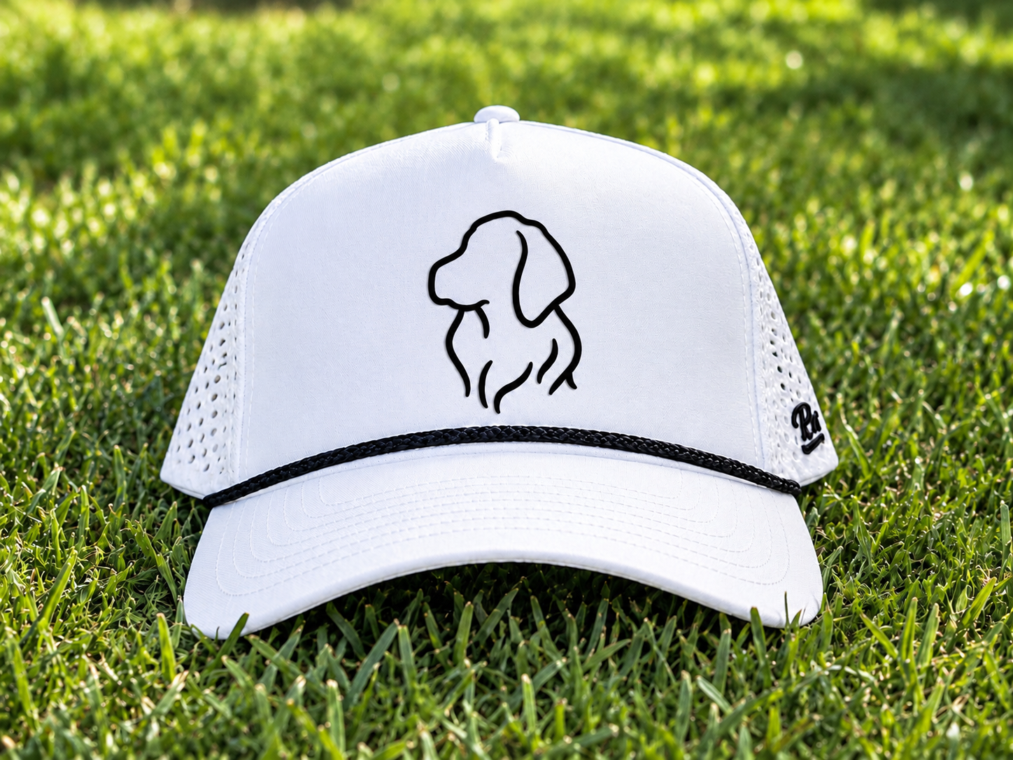 Retriever Snapback